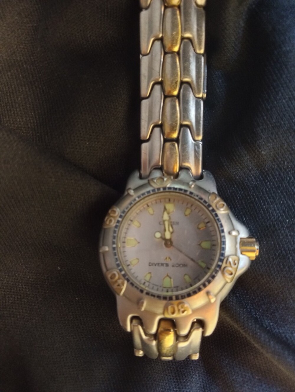 Citizens Pro Master Watch Vintage